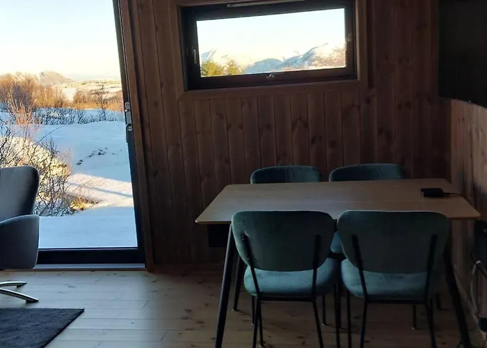 Cabin Aurora Borealis