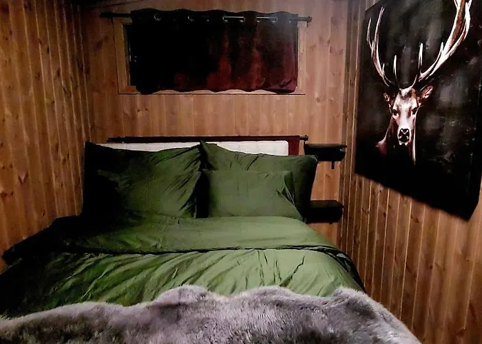 Cabin Aurora Borealis