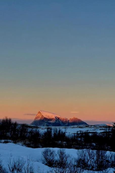 Aurora Borealis Holiday home