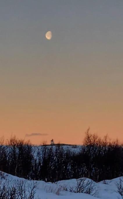 Aurora Borealis Sommaroy