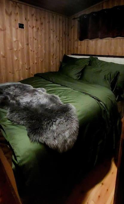 Aurora Borealis Holiday home Sommaroy